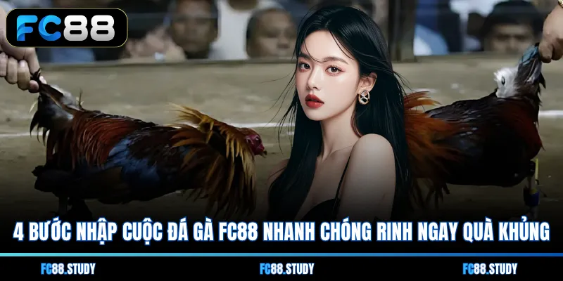 4 bước nhập cuộc đá gà FC88 nhanh chóng rinh ngay quà khủng