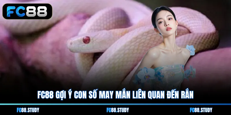 FC88 gợi ý con số may mắn liên quan đến rắn