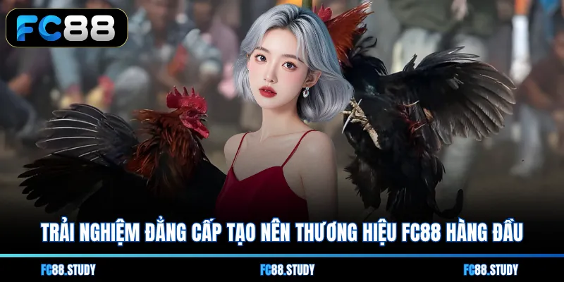 Trải nghiệm đẳng cấp tạo nên thương hiệu FC88 hàng đầu