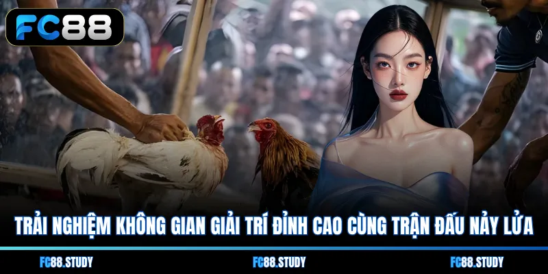Trải nghiệm không gian giải trí đỉnh cao cùng trận đấu nảy lửa