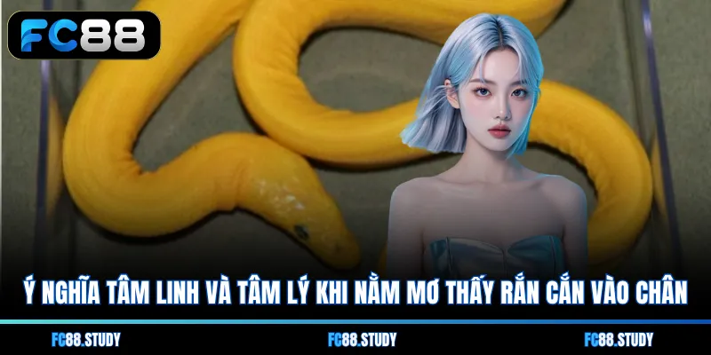 Ý nghĩa tâm linh và tâm lý khi nằm mơ thấy rắn cắn vào chân
